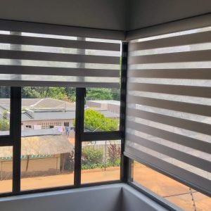 Zebra / Eclipse Blinds